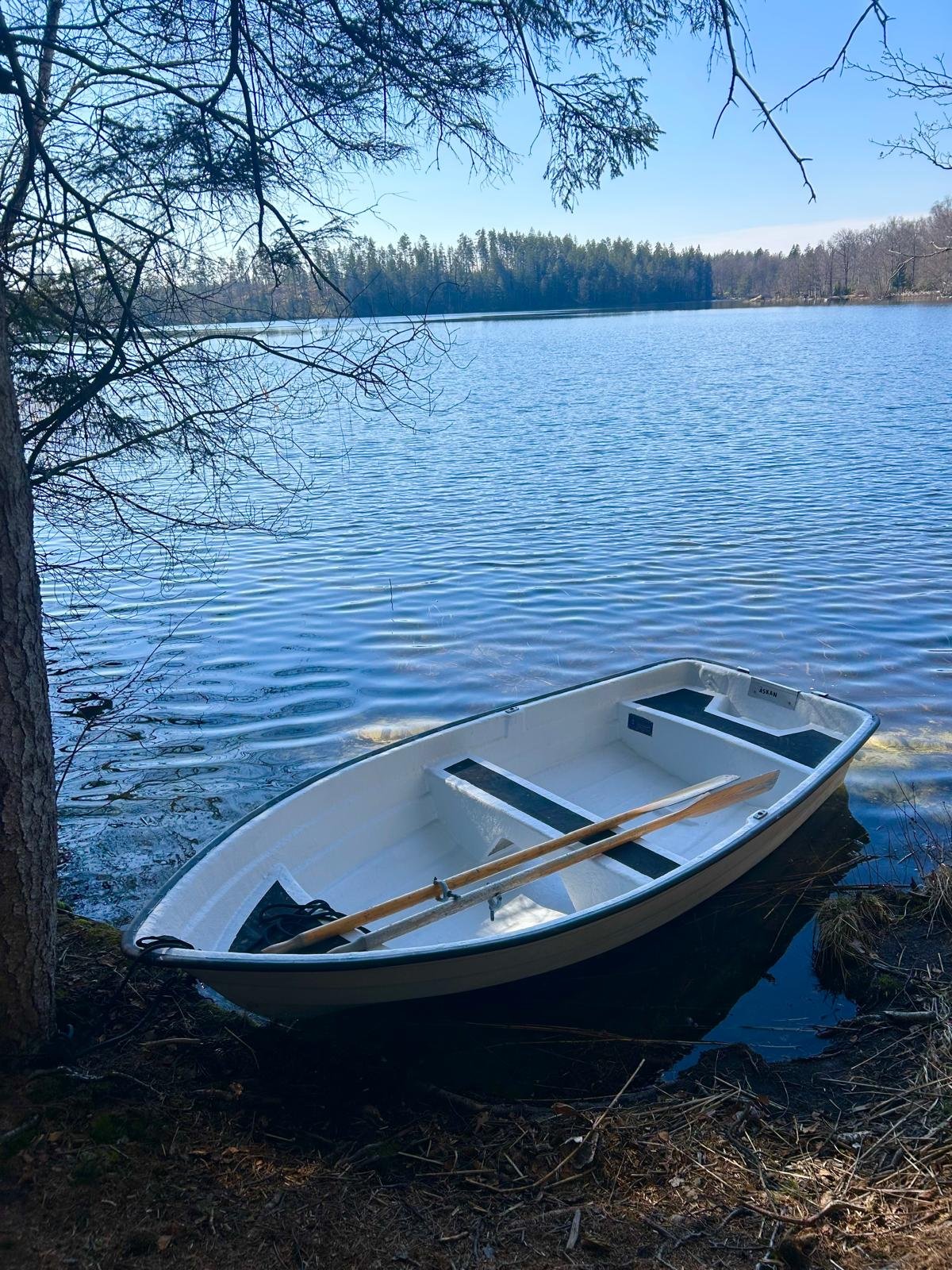 Boot für 3 bis 4 Personen am Djupasjön